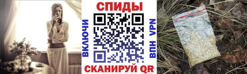 купить   Выборг  БУТИРАТ буратино 