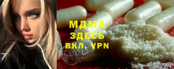 сатива Бородино