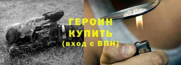 сатива Бородино