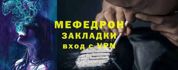 сатива Бородино