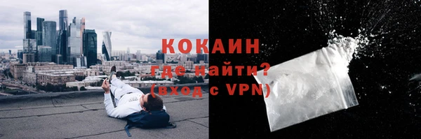 сатива Бородино