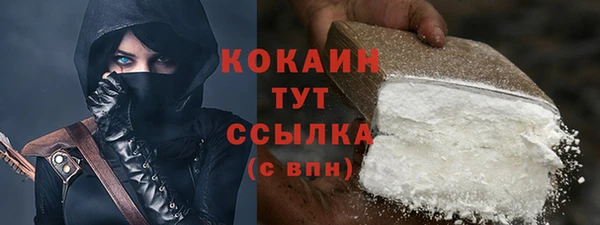 сатива Бородино