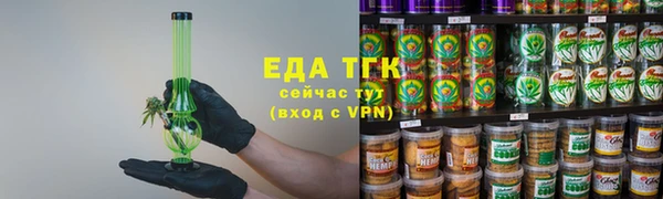 сатива Бородино