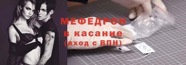 сатива Бородино