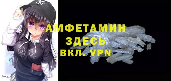 сатива Бородино