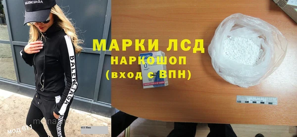 сатива Бородино