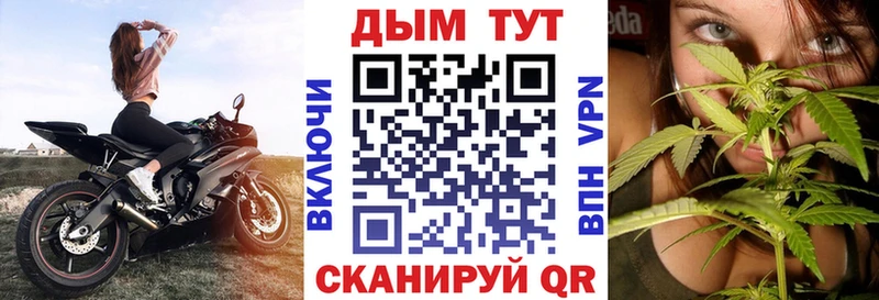 МАРИХУАНА ГИДРОПОН  продажа наркотиков  Выборг 